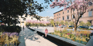 Depaving a Parma: meno cemento e più alberi per combattere le isole di calore